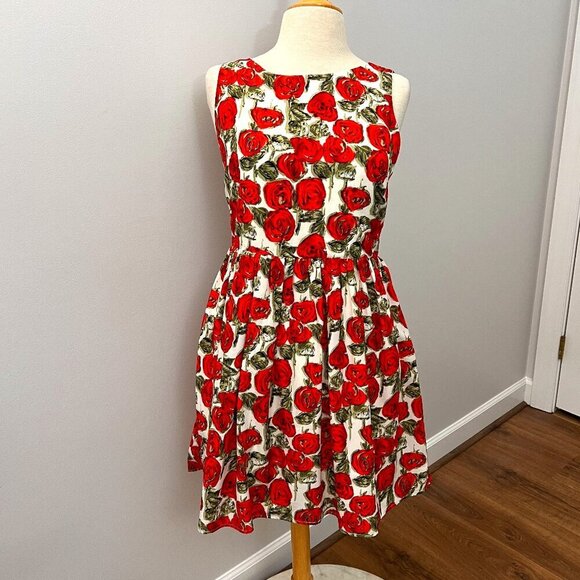Anthropologie Sunday in Brooklyn Red Rose Floral Flare Dress Sz S - Picture 1 of 12